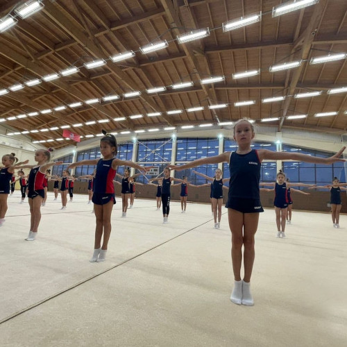 Ковер гимнастический (профессиональный) 4x8м