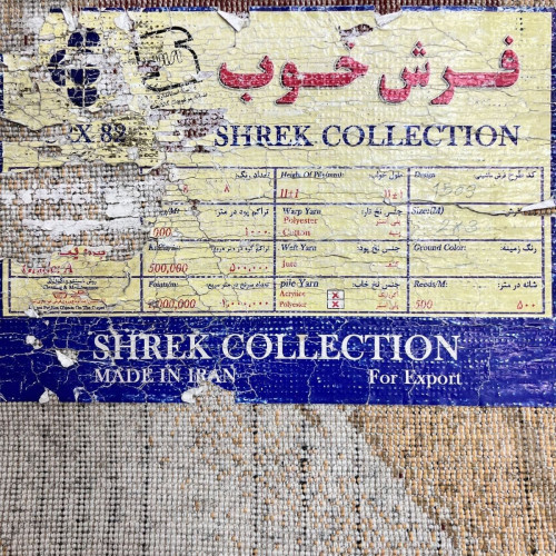 Shrek fiona